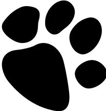 2Group 87