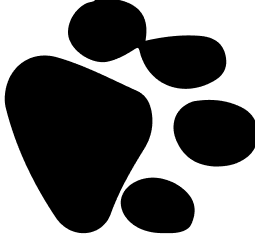 5Group 90