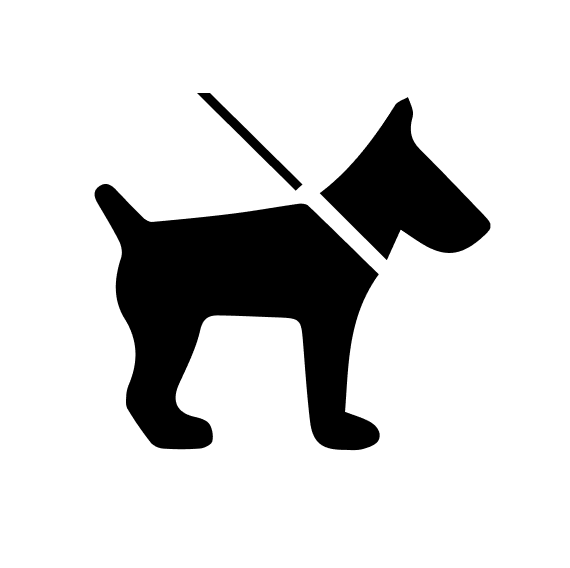 Group 81
